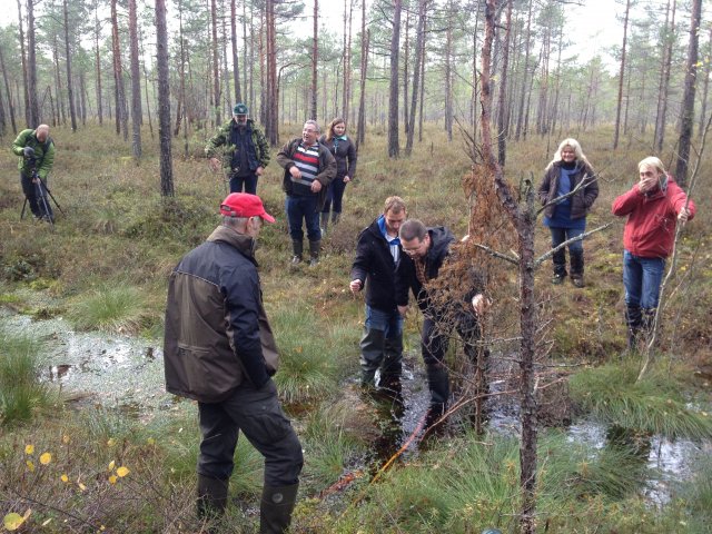 Participants of the study tour cross the drainage ditch in Teiči nature reserve. Photo: I.Ķuze.