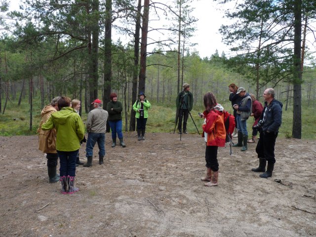 Uzraudzības grupas sanāksmes dalībnieki iepazīstas ar Zaļo purvu. Foto: K.Lapiņš.