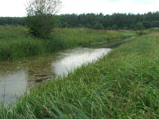 Straightened River Skudrupīte. Photo: L.Urtāne.