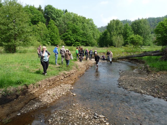 Aizsargājamā teritorijā Arnsberger Wald atjaunota mazā upe. Foto: K.Lapiņš.