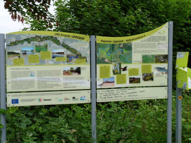 Lippe upes palienes atjaunošana ir uzskatāmi demonstrēta informācijas stendos. Foto: K.Lapiņš.