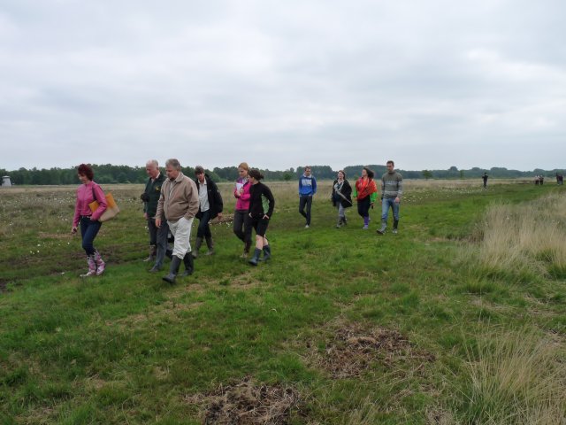 Participants of the study tour in Grosses Torfmoor. Photo: K.Lapins.