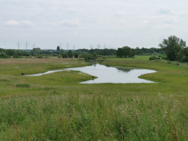 Enrichment of the Lippe floodplain with newly formed water bodies. Photo: K.Lapins.