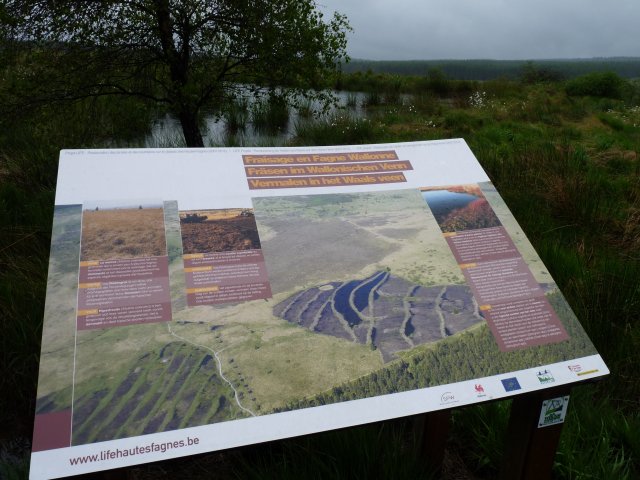 Information stand explains about soil removal in order to restore degraded raised bog. Photo: K.Lapins.