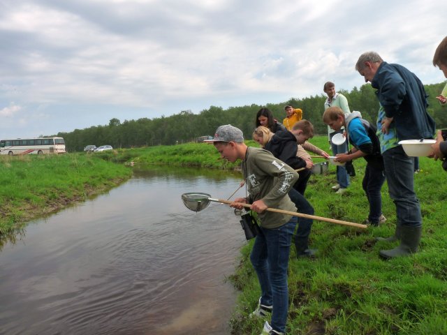 2013.05.27. Smarde primary school students excursion to restored wetlands, making of bird nest boxes. Photo: I.Lazda.