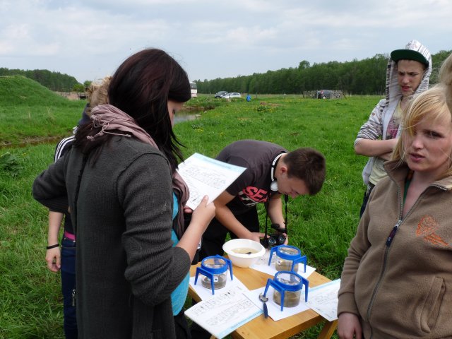 2013.05.27. Smarde primary school students excursion to restored wetlands, making of bird nest boxes. Photo: I.Lazda.